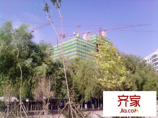 东平方米家园项目位于平房区联盟街北段,由黑龙江省东安房地产开发